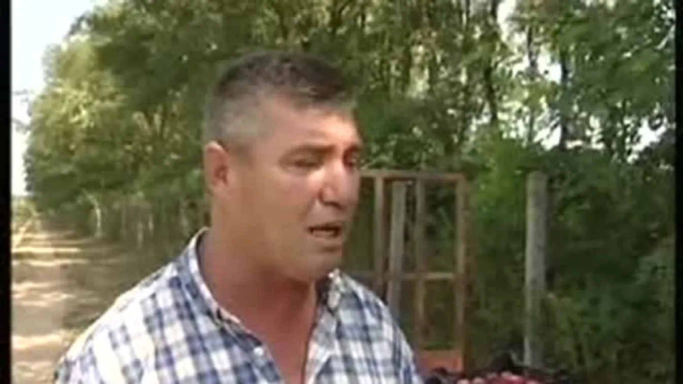 Látványos eredményeket hozott – Soroló