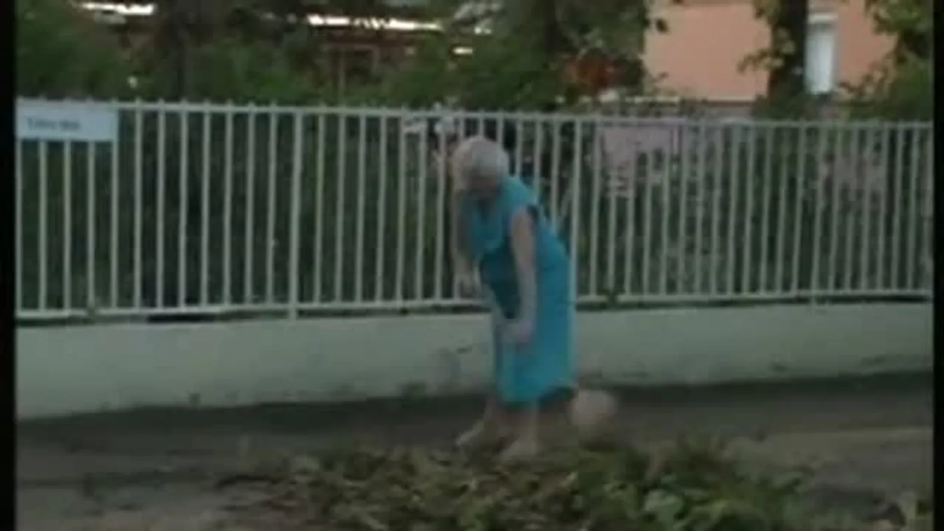 Aszály: nem bújnak elő a gombák