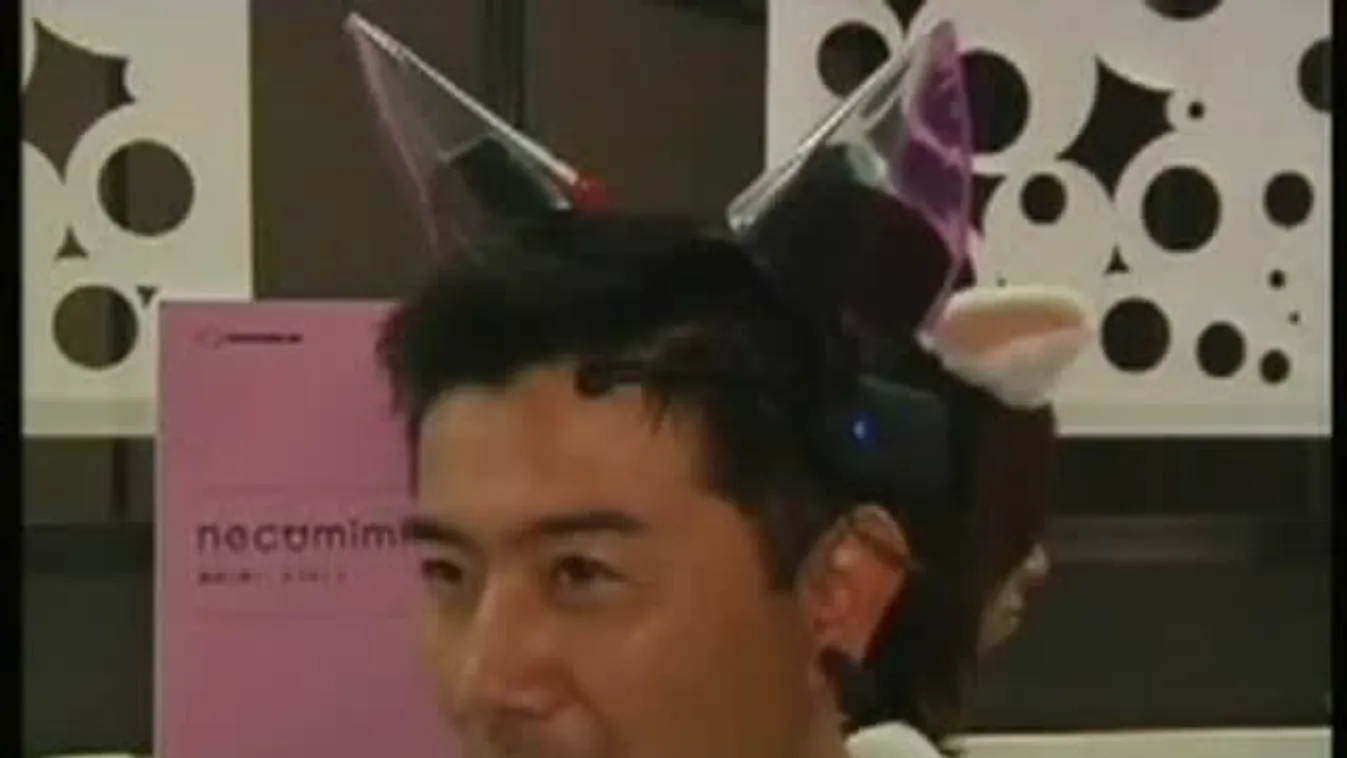 Okostakaró – Felfedező