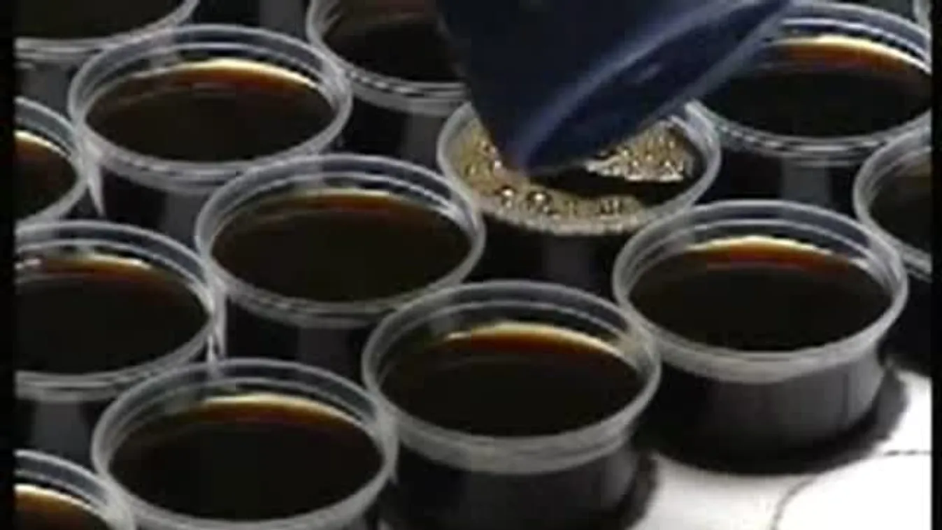 Világrekord született a Corvinus Egyetemen