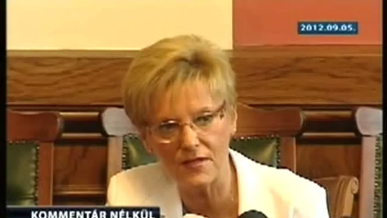 Hoffmann Rózsa a felsőoktatási szakképzésről