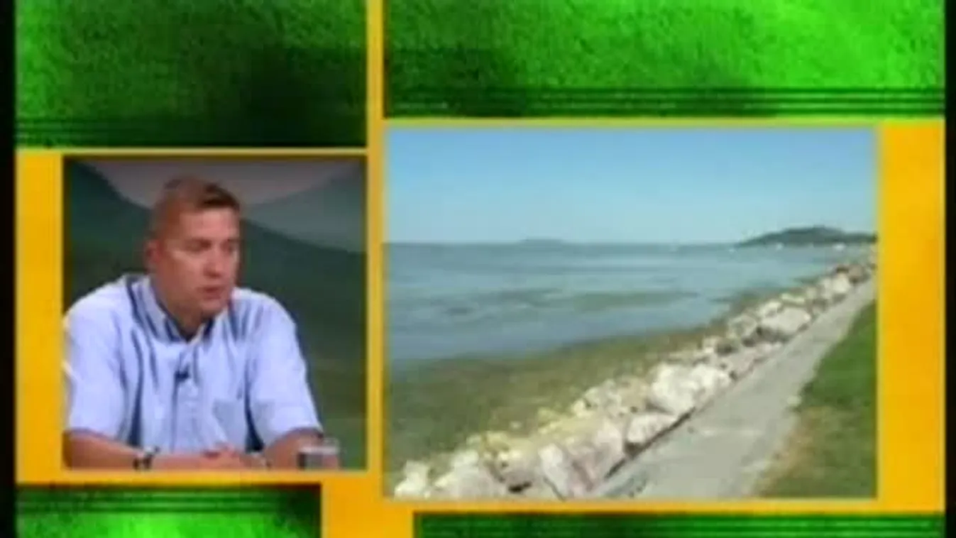 Invázió? – Zöld övezet