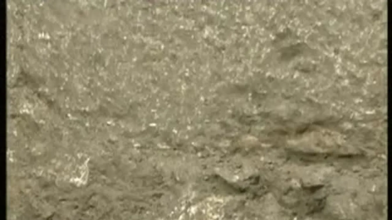 Száguldás – Felfedező