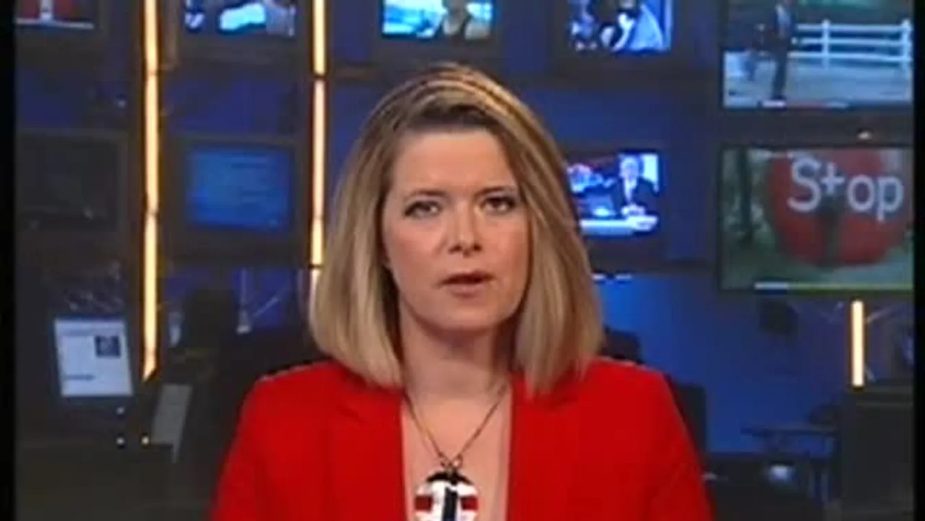 A csúcstechnológiai bűnözés elleni osztály csapott le az Anonymousra