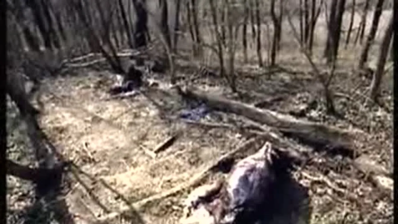 Véletlenül érték tetten - Keresztmetszet