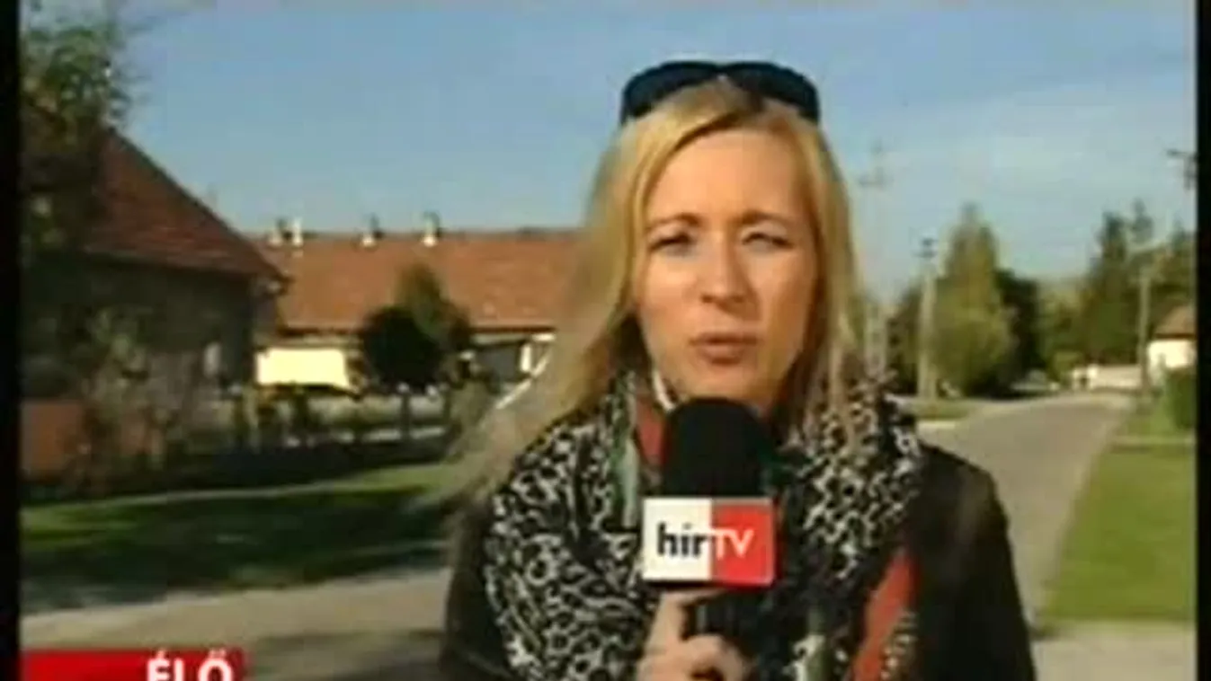 Az unoka gyilkolhatott Táton – bejelentkezés 15 óra