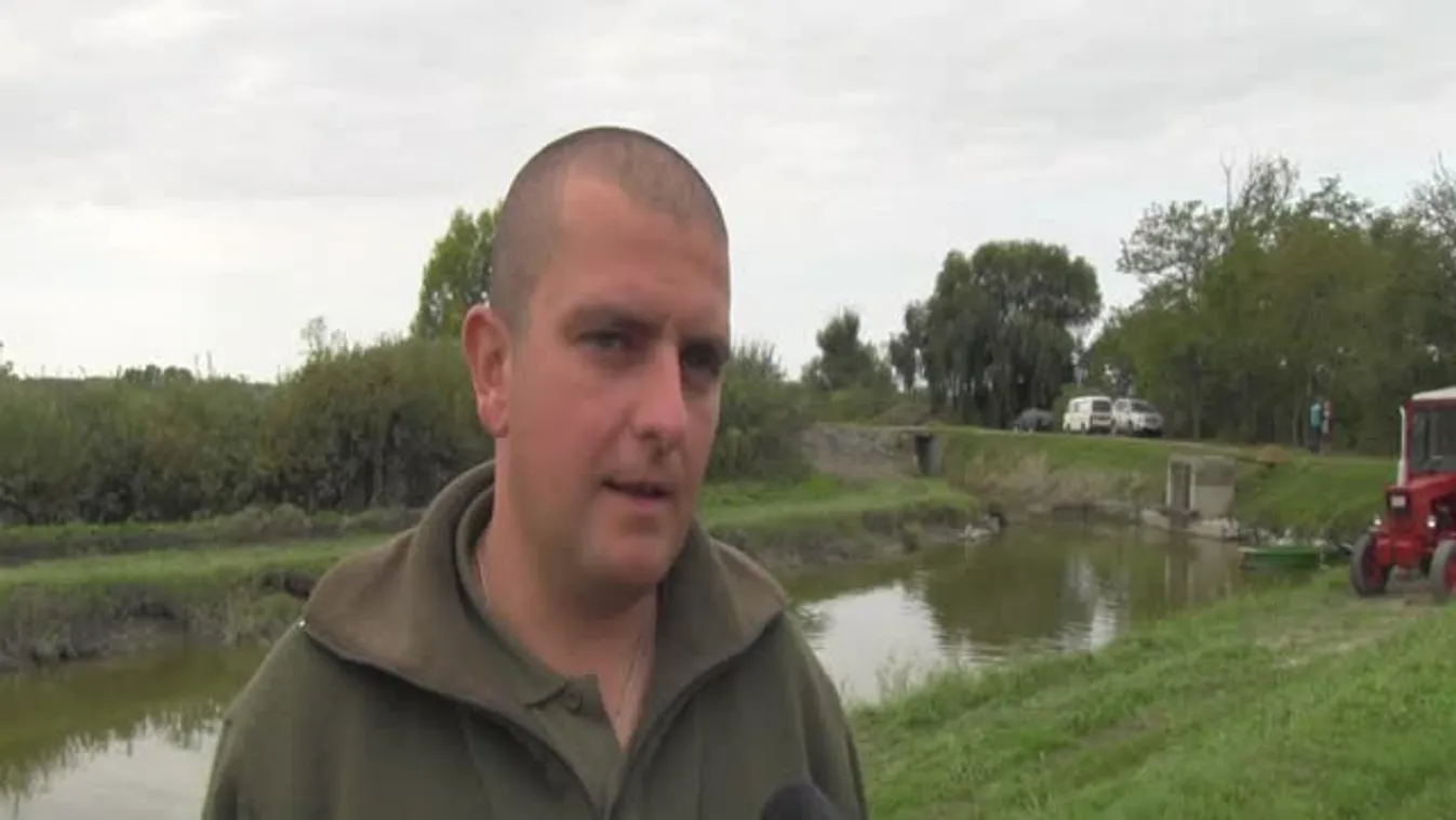 Több száz tonna halat telepítenek a Balatonba