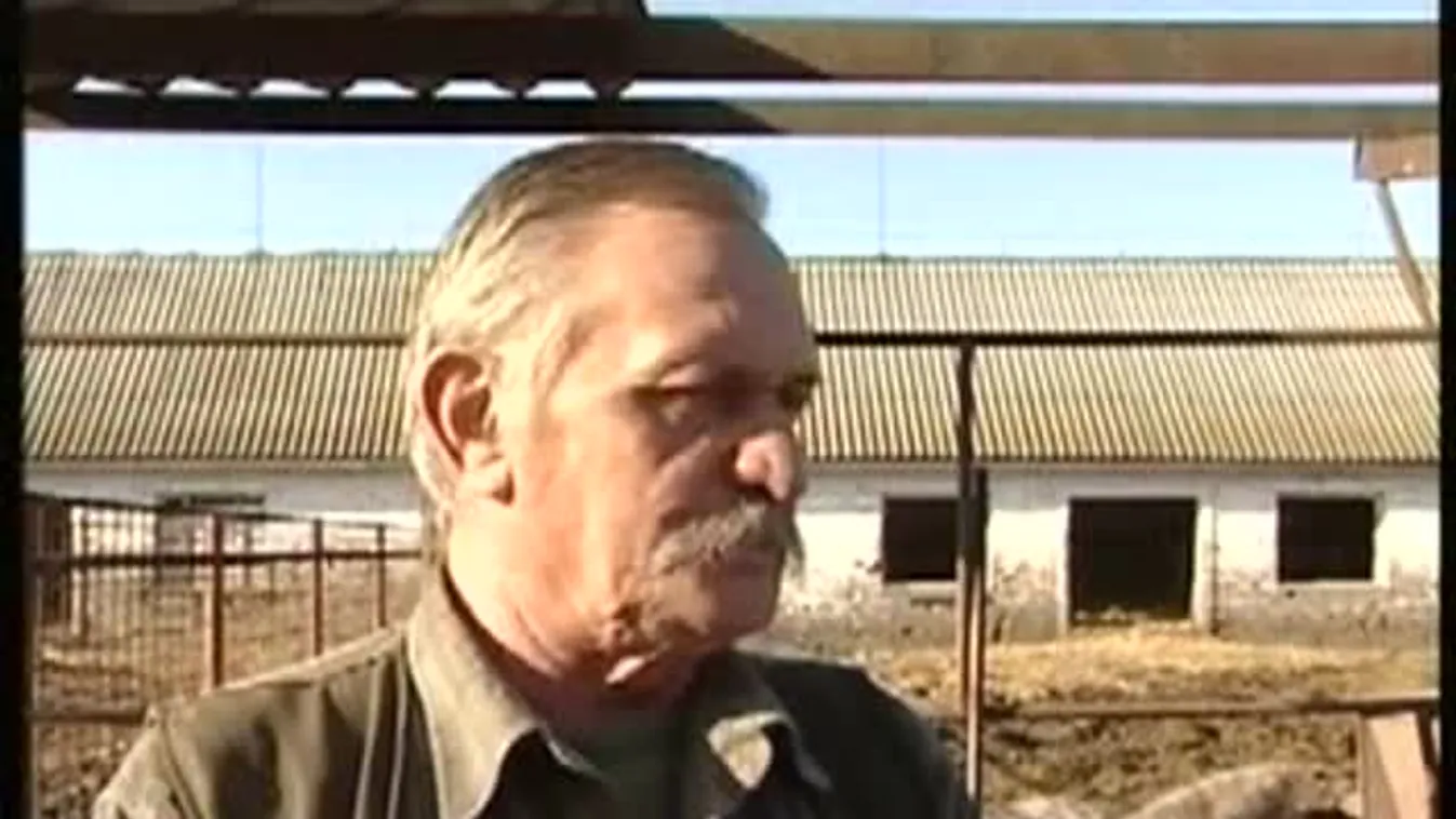 Kiváló adottságok a sertéstenyésztésre – Soroló