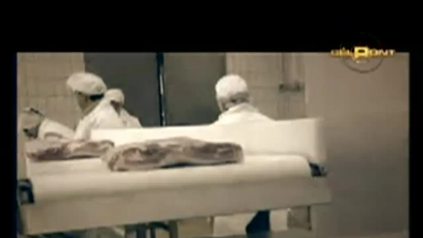 Vágóhíd - Célpont