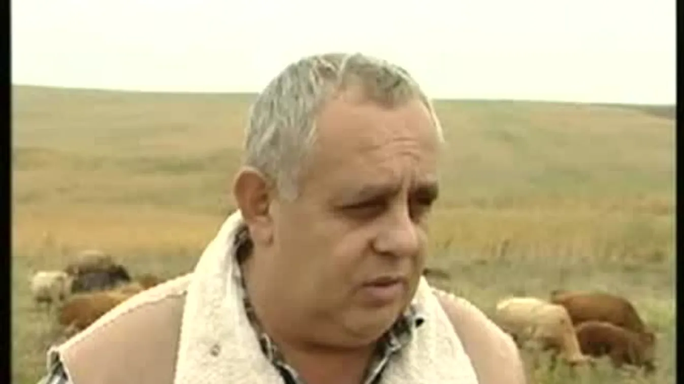 Vitatott földek - Soroló