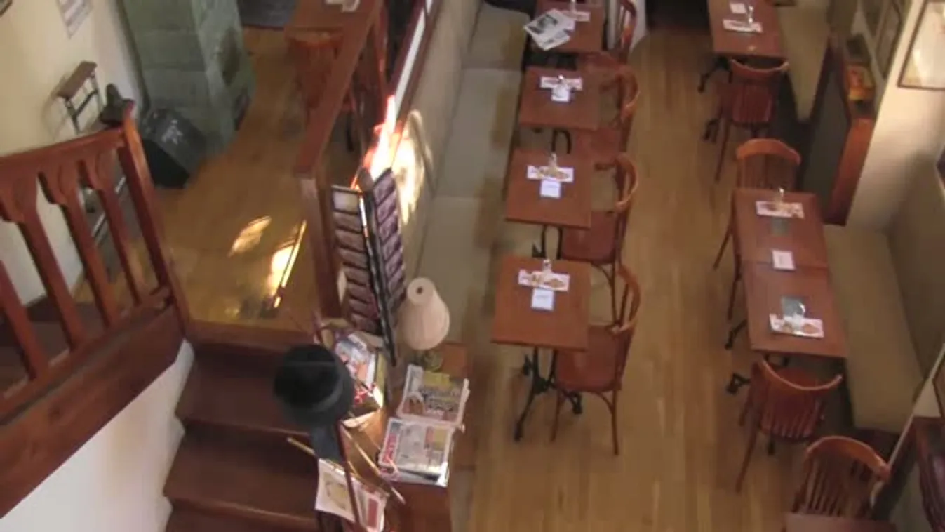 Humorista a pszichológusok között