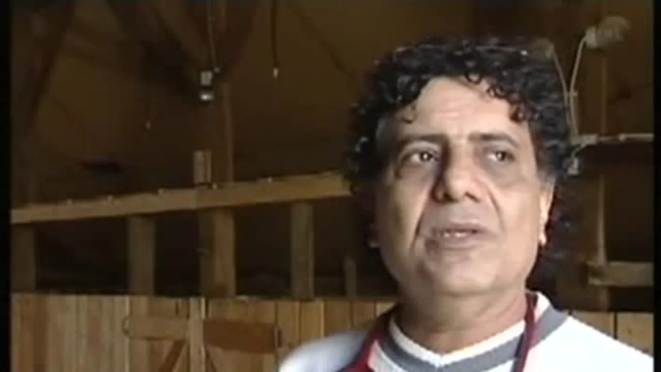 A magyar tarka tejének nincs párja – Soroló