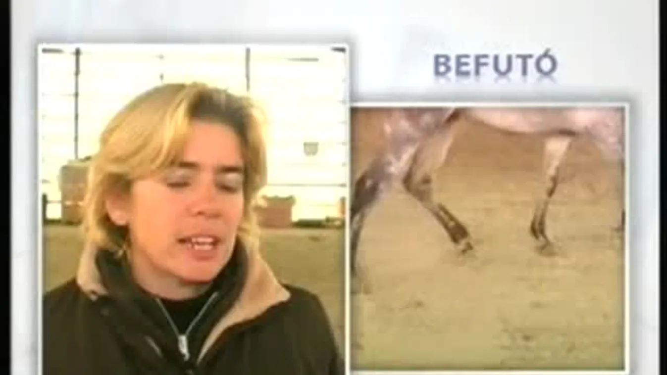 Bemutatjuk az astanga jógát - Befutó Szabad stílus