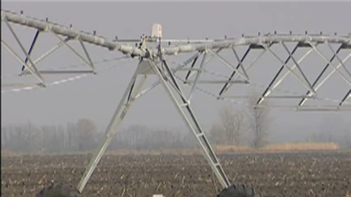 A Soroló a tényekre volt kíváncsi