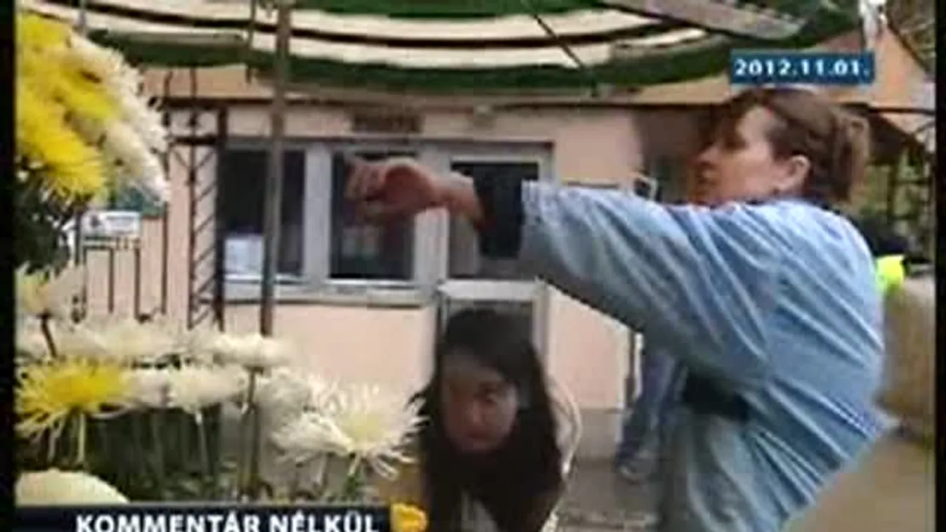 Fiumei úti Nemzeti Sírkert