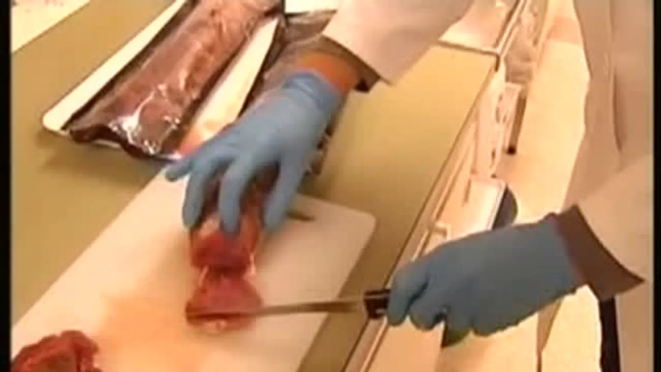 Egy helyrõl származhat a hamis hús