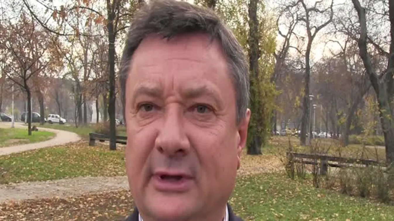 Itt mindenki a karácsonyfa-termelésből próbál megélni