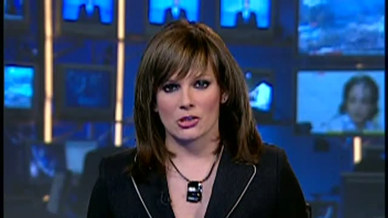 Mesterházy személyesen kereste fel az államfőt