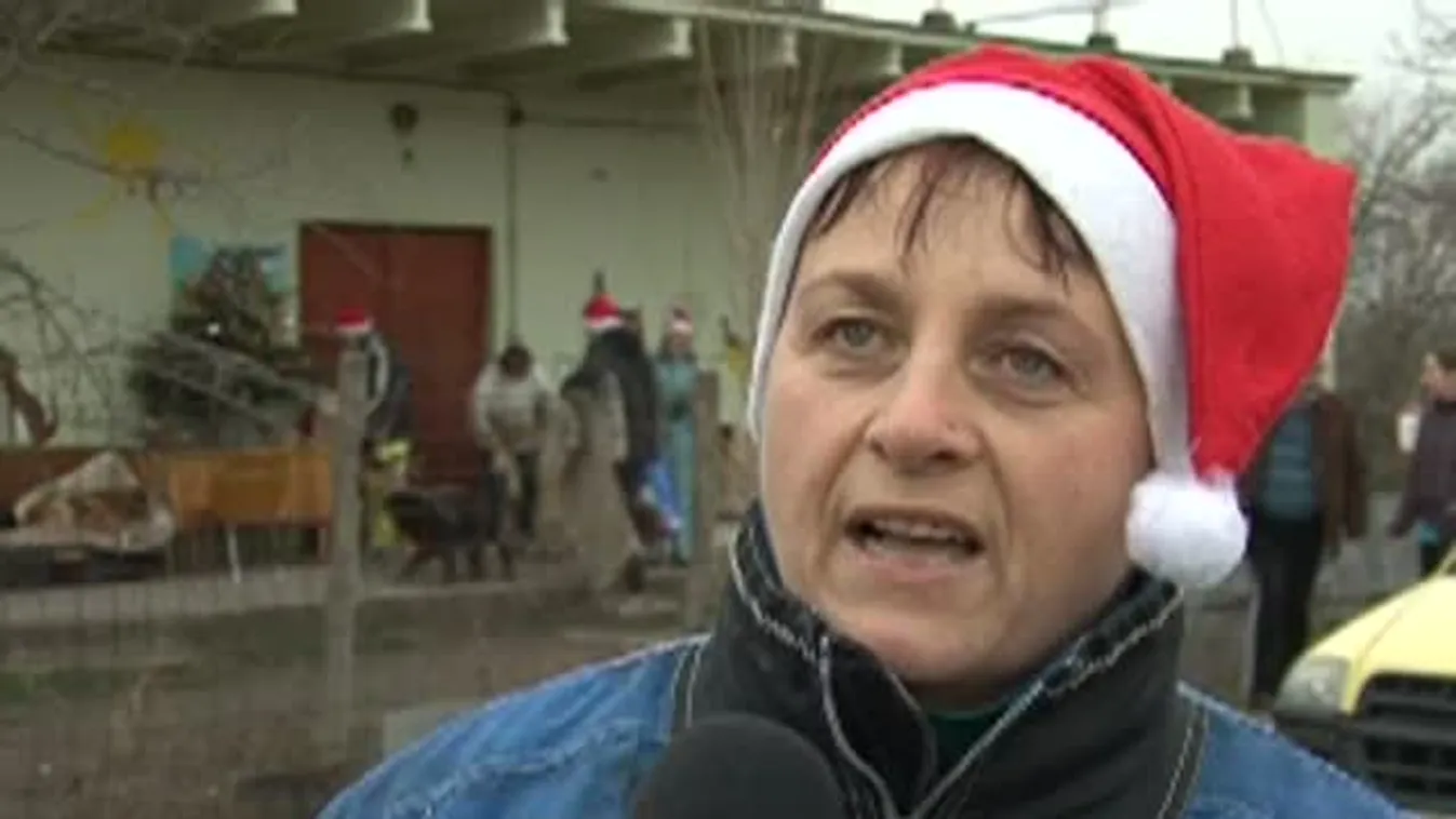 Kutyakarácsony a Szekszárdi Állatmenhelyen