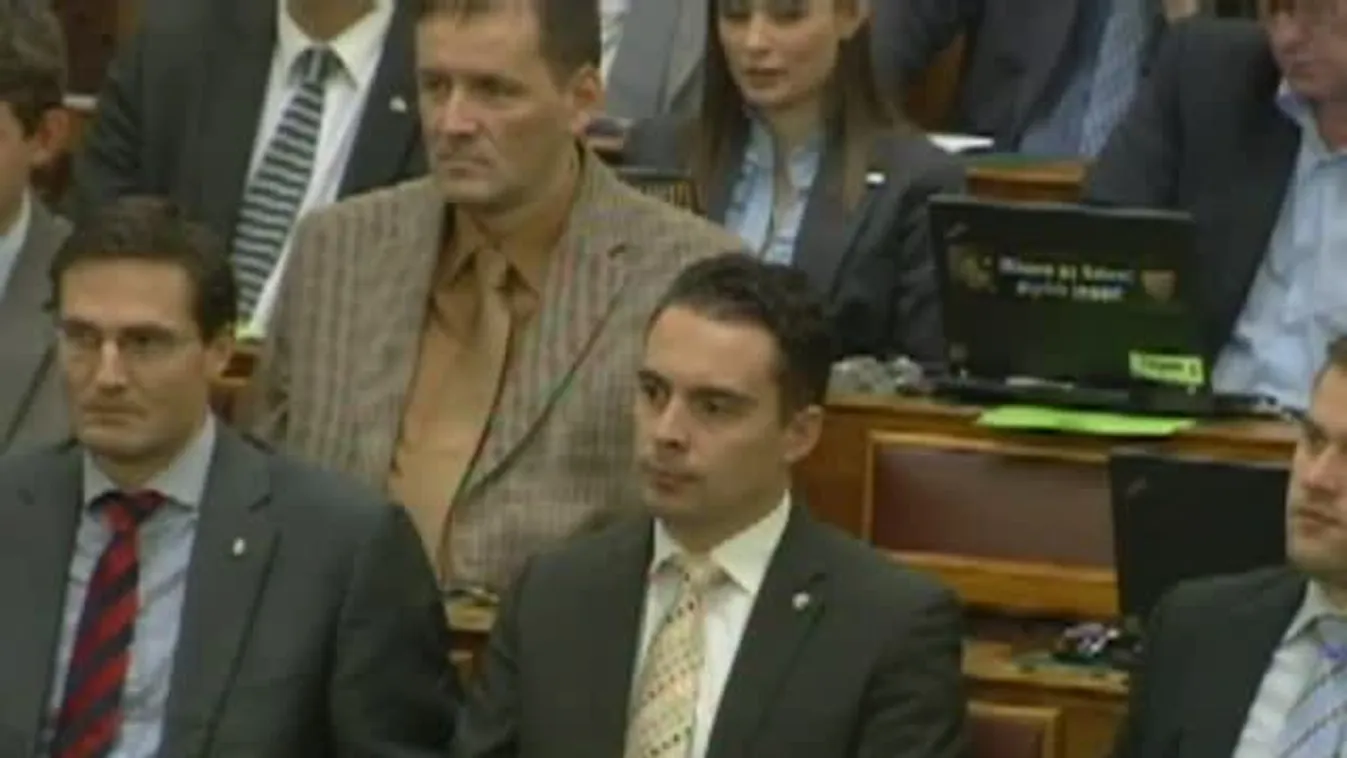 Fónagy János Gyöngyösi Márton felszólalásáról