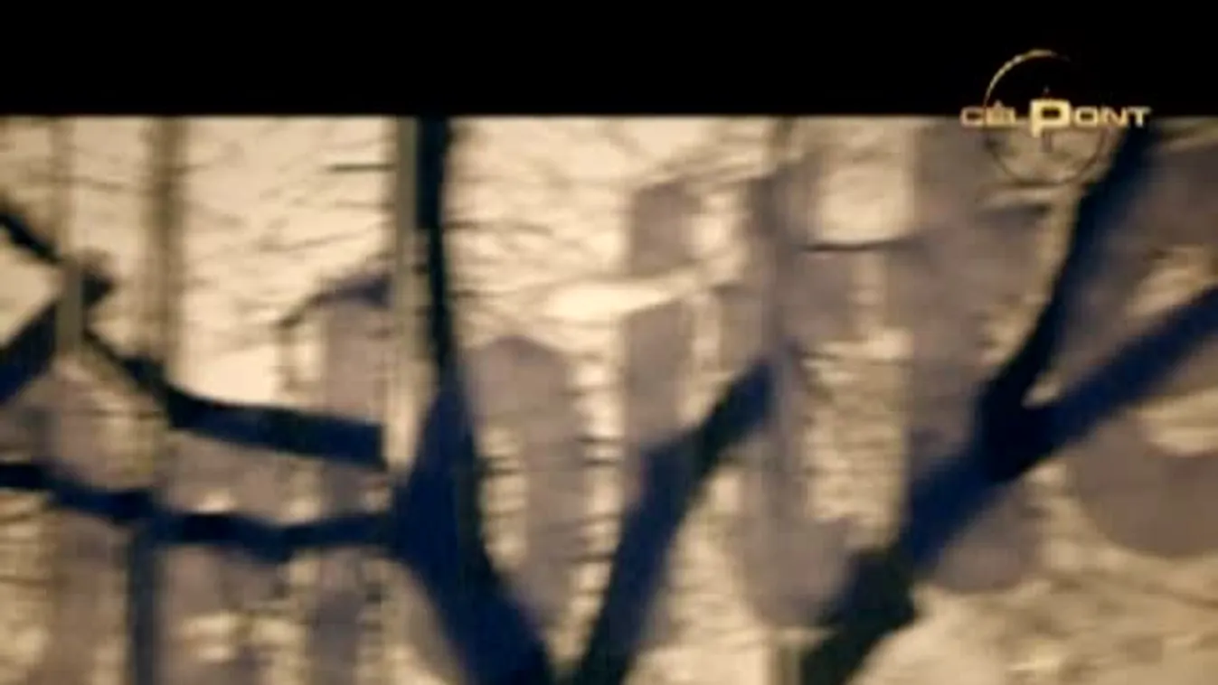 Célpont - Haveri milliárdok