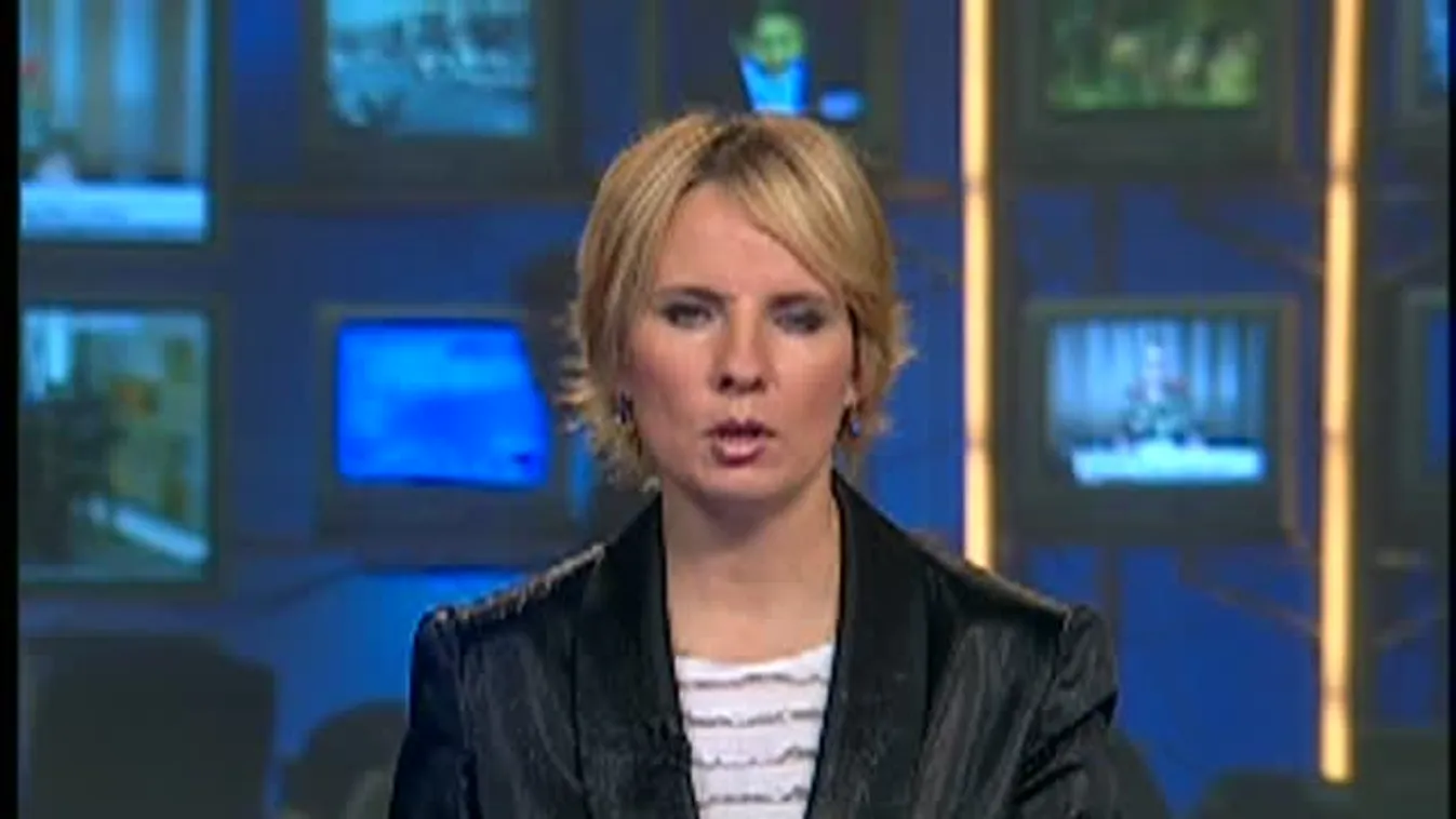 Erdő Péter hallássérülteknek tartott misét