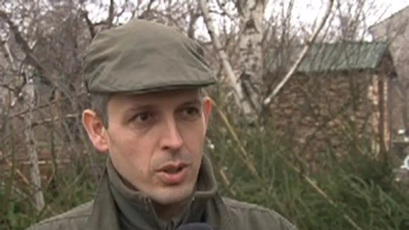 Ingyen fenyőt kaptak a pécsi nagycsaládosok