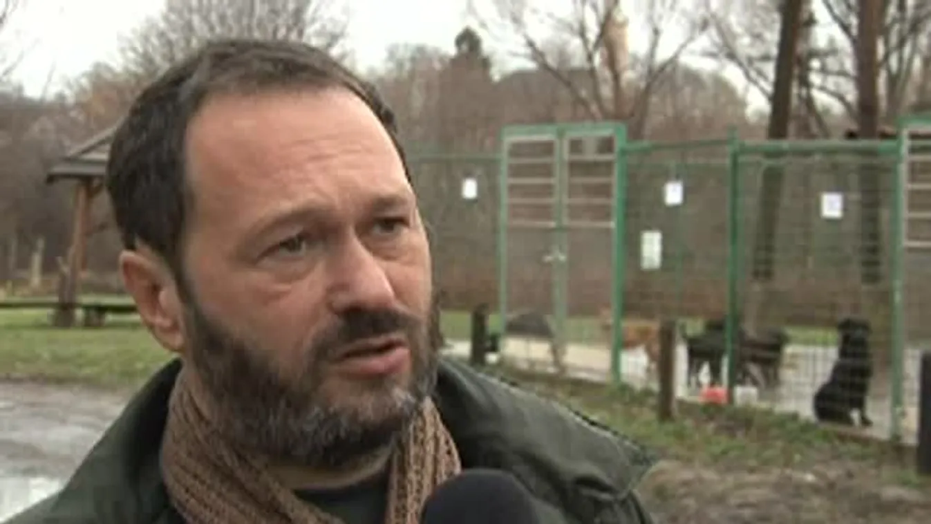 Januártól kötelező azonosító chippel ellátni a kutyákat