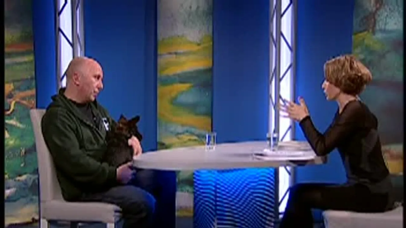 Paletta - Szilveszterkor fokozottan figyeljünk rájuk