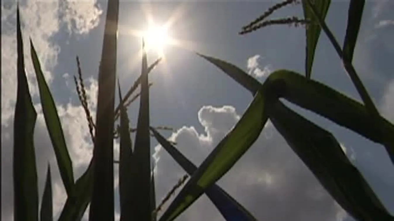 Soroló – 2012-ben Széchenyi-díjat kapott