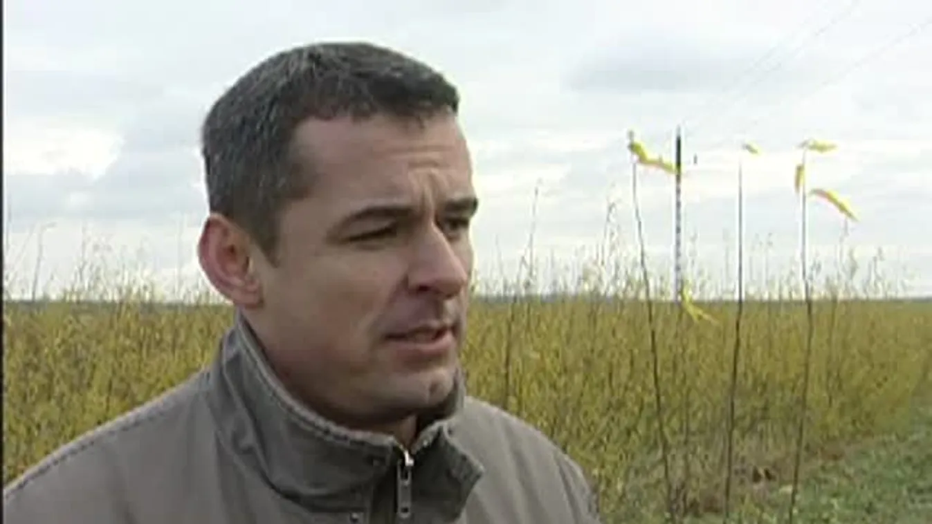 Soroló – Betakarítás Devecseren