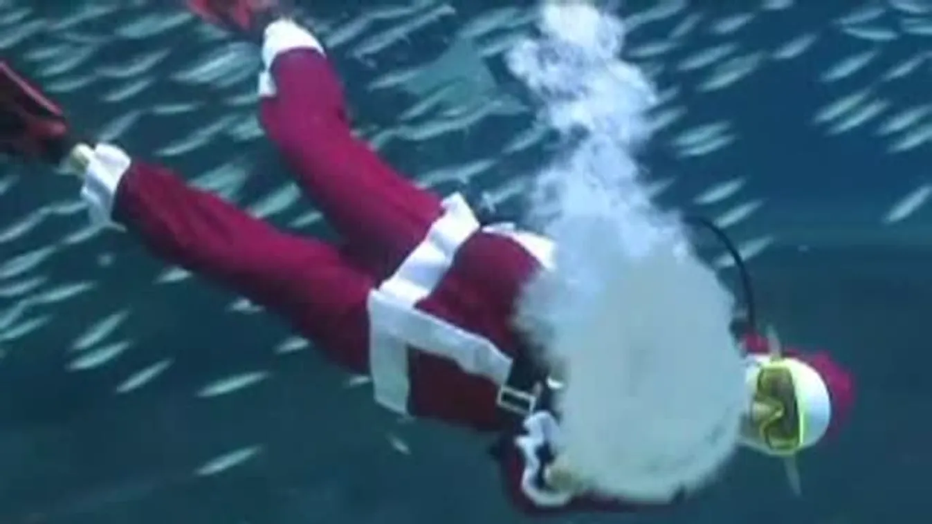 Mikulás a koreai tropikáriumban