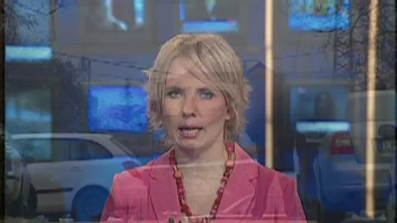 Ő ölte meg kegyetlen brutalitással a nőt?