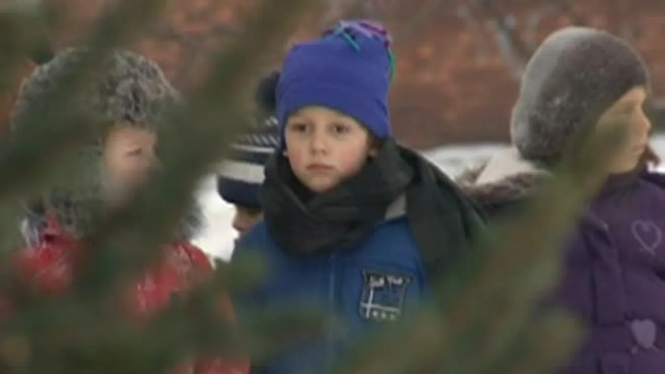 Madáreleséggel díszítették a karácsonyfát az óvodások