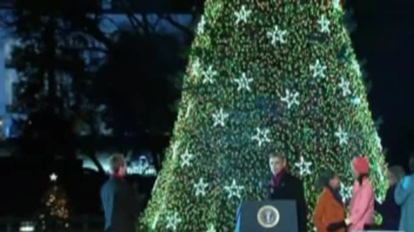 Felállították a Fehér Ház karácsonyfáját