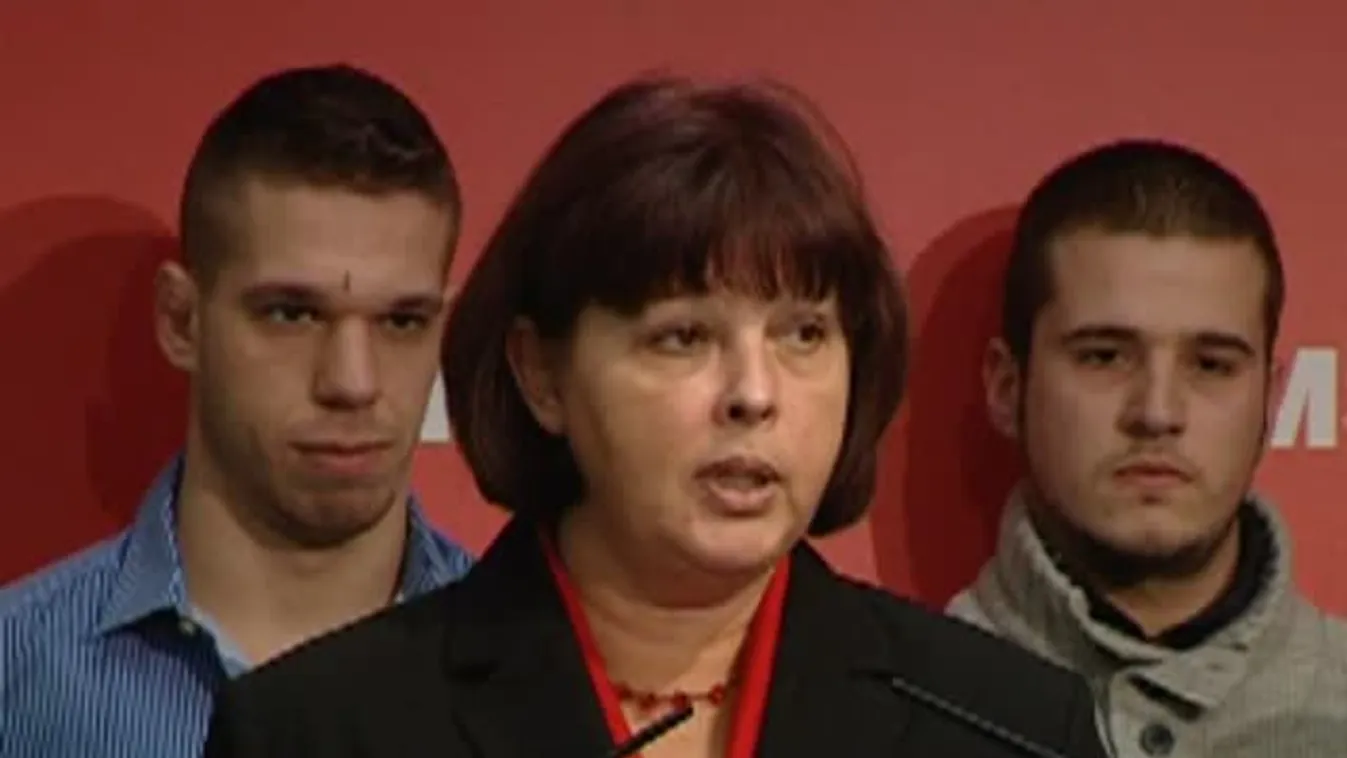 Konferenciát tartott az MSZP Európa politikai tagozata