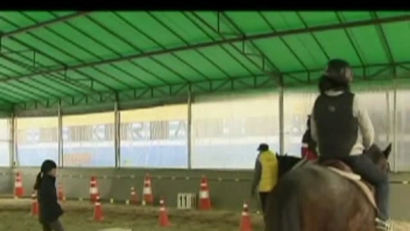 Felfedező – Lovakkal az internetfüggőség ellen