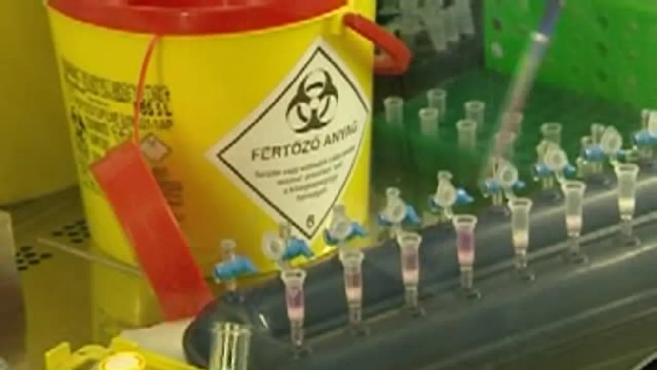 Vigyázat! Kitört a járvány