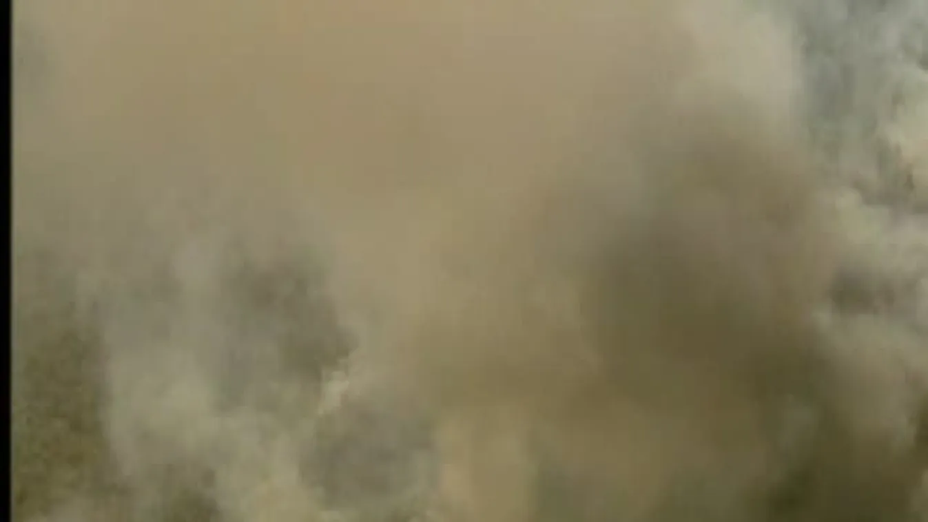 Erdőtűz Ausztriában