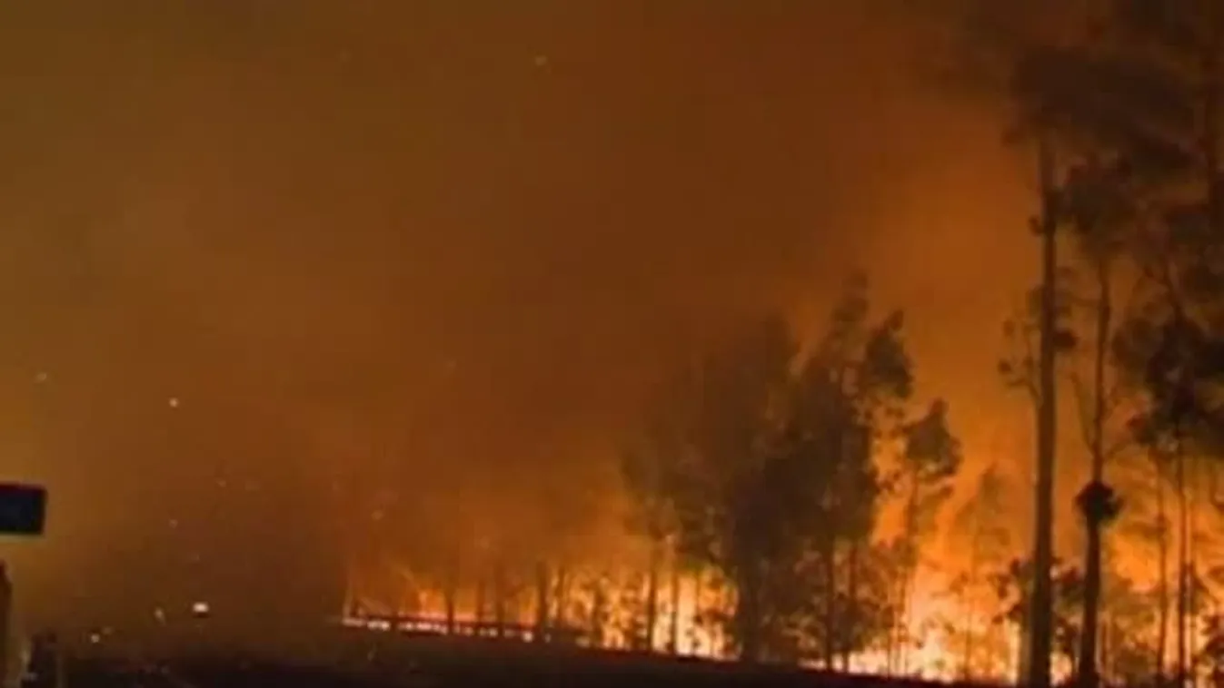 Bozóttűz Ausztráliában