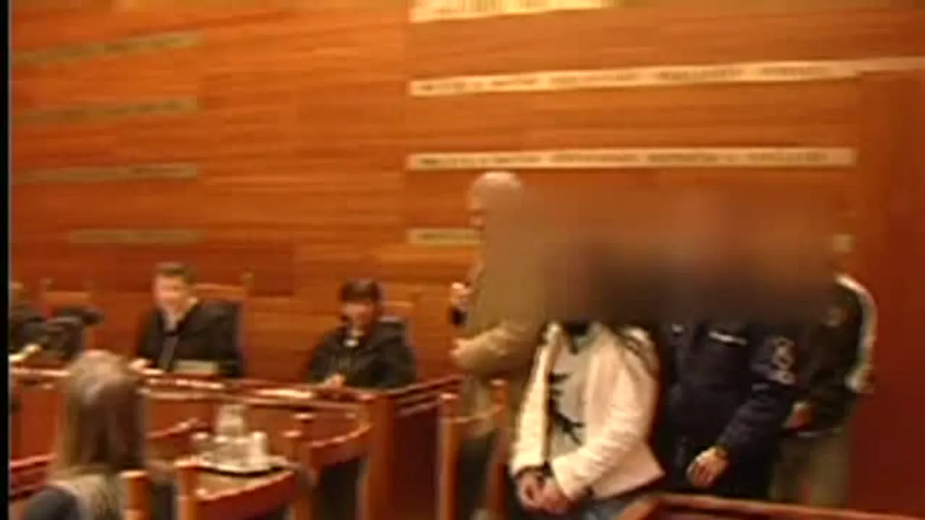 Vascsővel verték agyon az idős nőt: maradt a 35 év fegyház