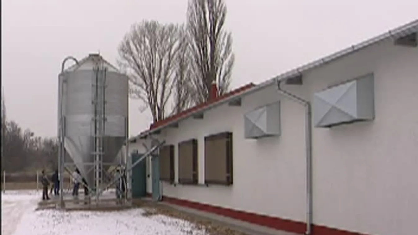 Soroló – Sokba kerülhet a gazdának, ha elmulasztja