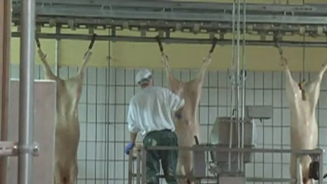 Kaposvár tulajdonosként beszáll a Kométa húsipari cégbe