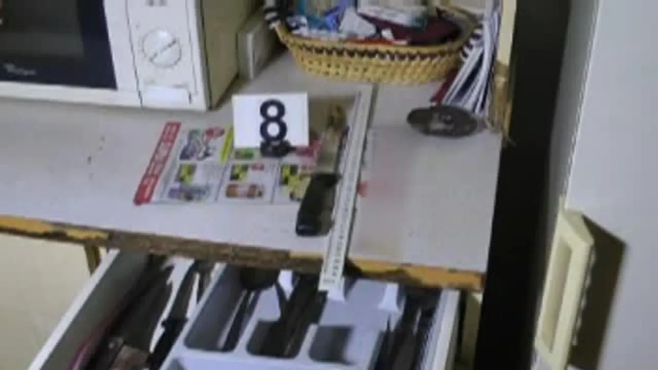 Ebben a magyar rendőrök a leghatékonyabbak