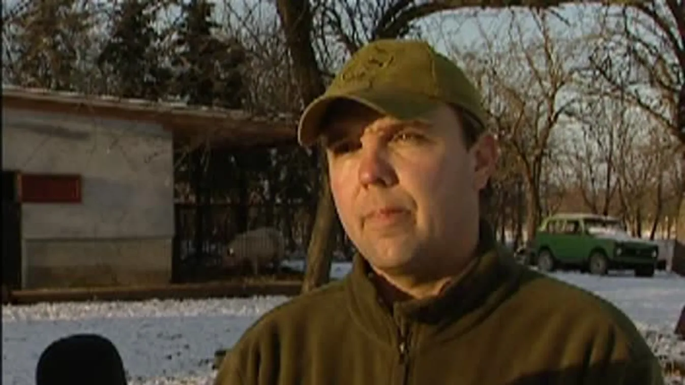 Soroló - Sok per újraindult