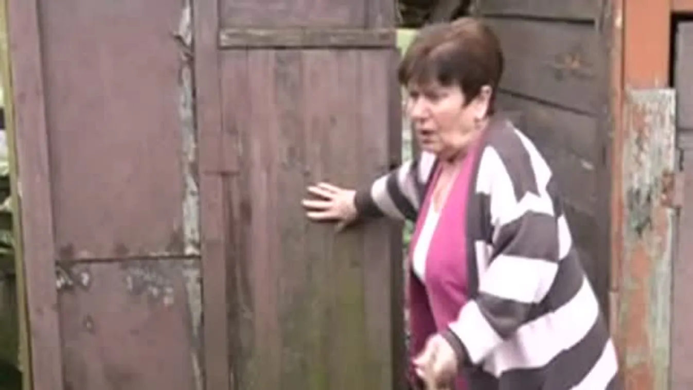 Késve kapják az ingyen tűzifát