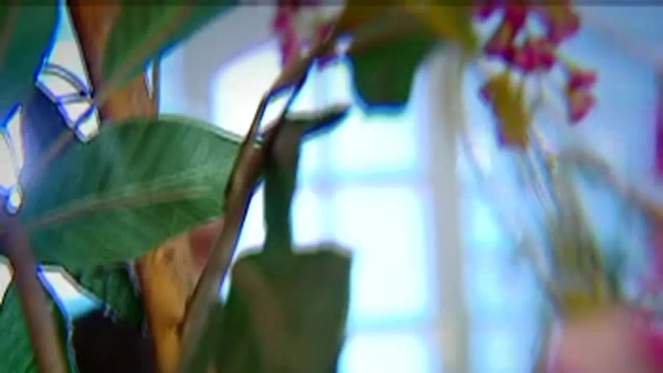 Panaszkönyv – Kártalanítás vagy újabb lehúzás?