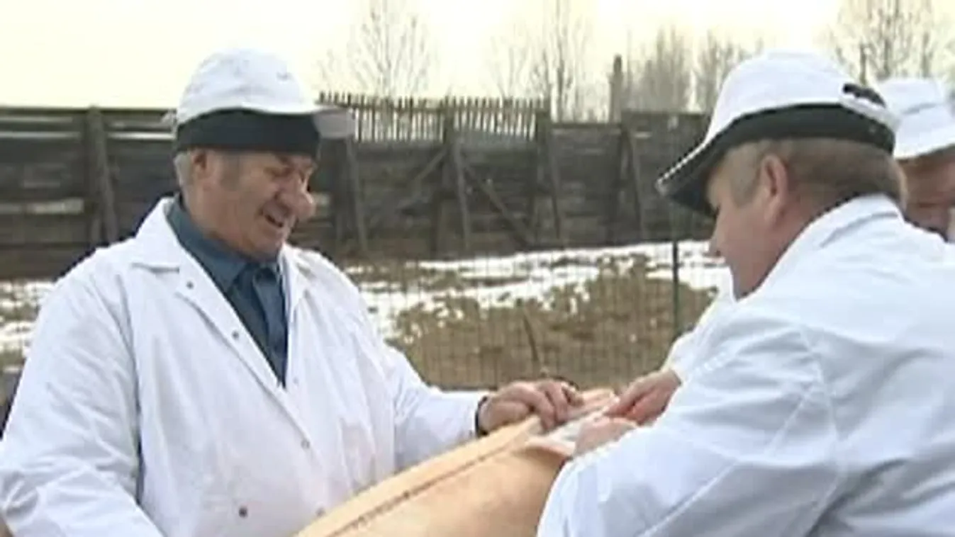 Megperzselték és bontószéken darabolták