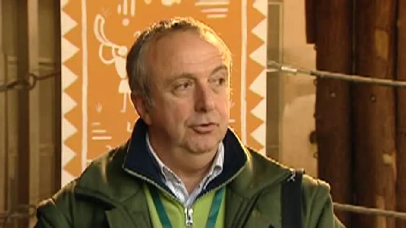 Bemutatták a kiselefántot a fővárosi állatkerben