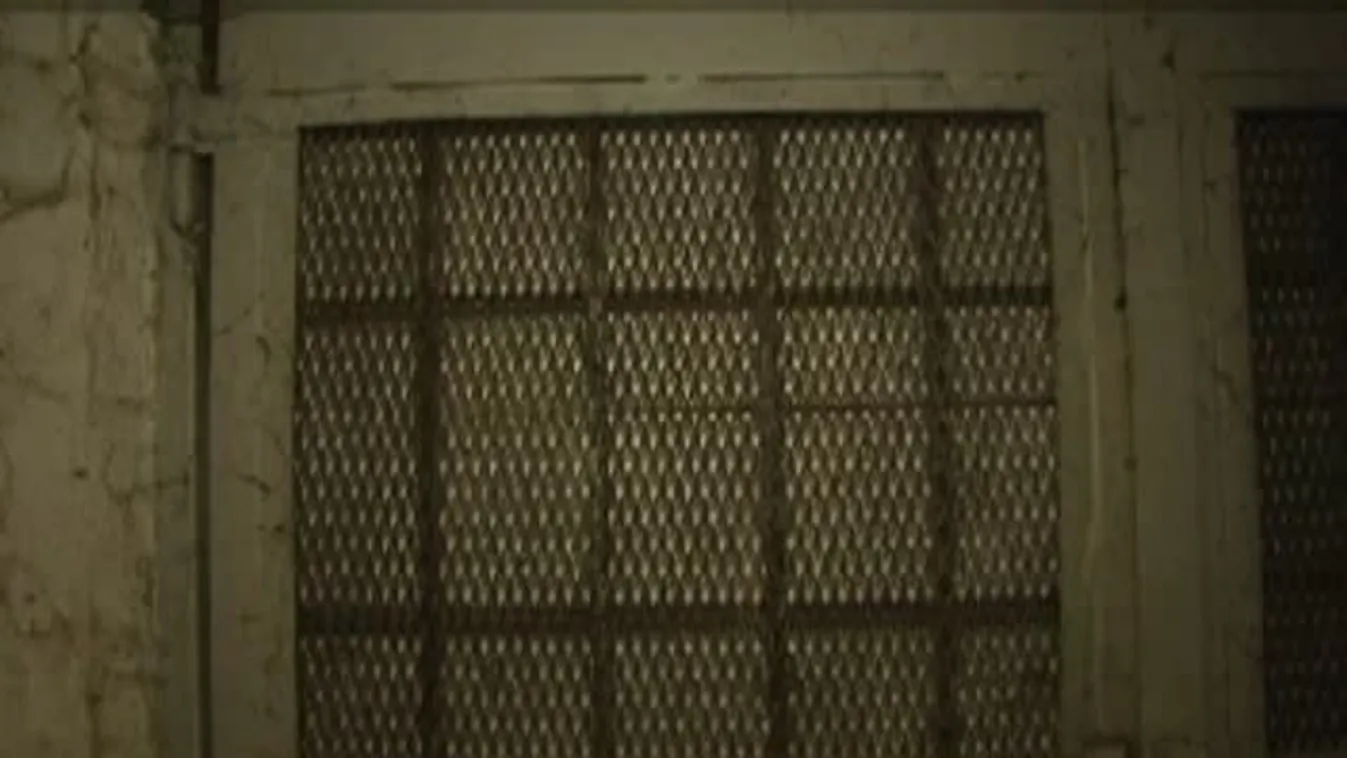 Sikolyok és üvöltözés – Hátborzongató hangok nap, mint nap